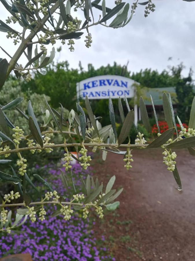 Kervan Pansiyon Çıralı Kültér fotó
